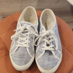 Striped Blue and White Sneakers